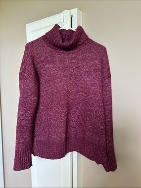 Banana Republic Maroon Knit Turtleneck Sweater